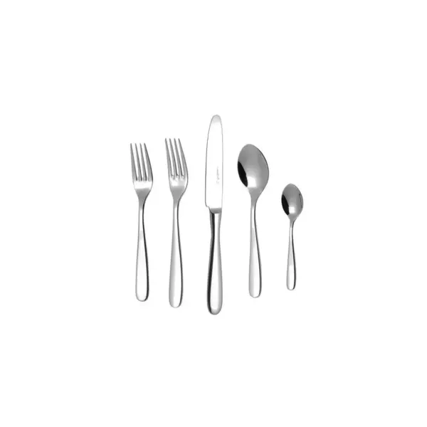 20pc Stainless Steel Grand City Silverware Set - Fortessa Tableware Solutions