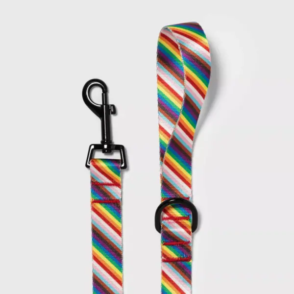 Pride Fashion Dog Leash - 5ft - Boots & Barkley™