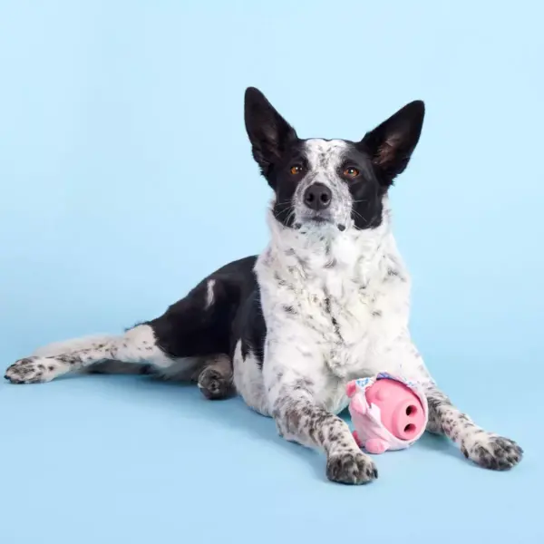 BARK Super Chewer Pig Dog Toy - Hambone