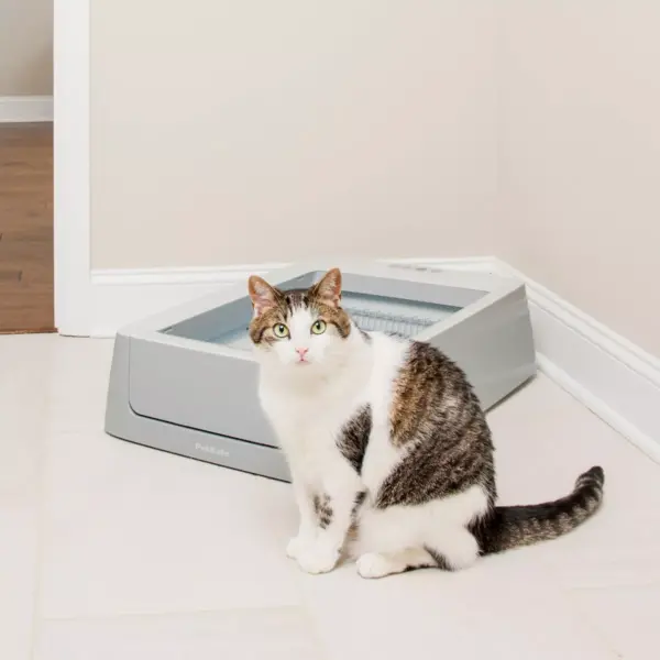 PetSafe ScoopFree Phone App Connected Smart Self-Cleaning Cat Litter Box - Beige