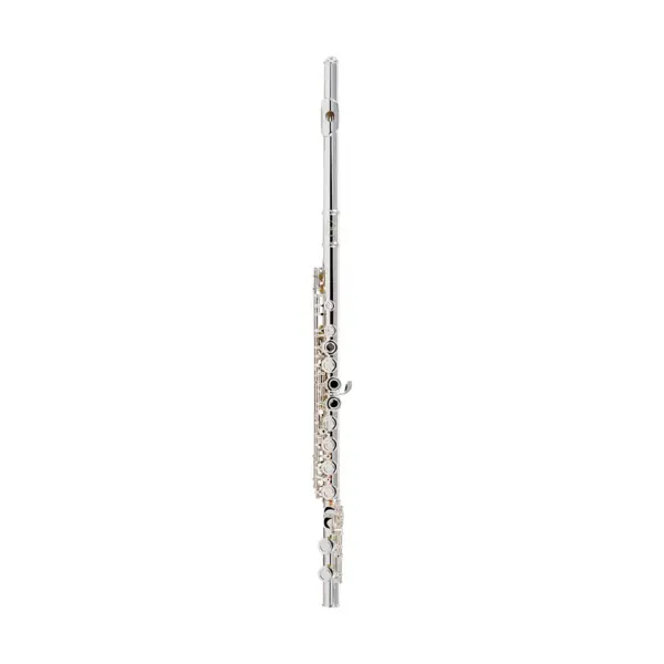 Allora AFL-250 Student Series Flute Offset G C-Foot