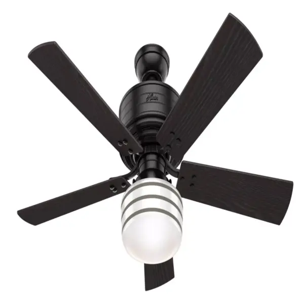 52" Cedar Key Damp Rated Ceiling Fan with Remote Black (Includes LED Light Bulb) - Hunter Fan