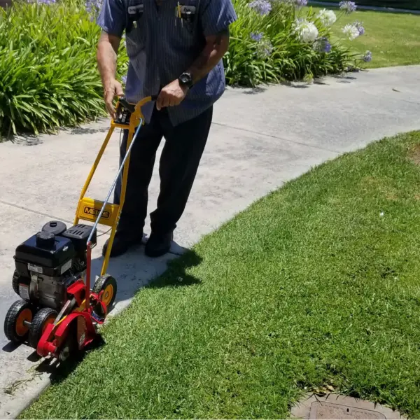 McLane 101-4.75GT-7 9 Inch Gas Walk Behind Lawn Edger, 5.50 Gross Torque Engine