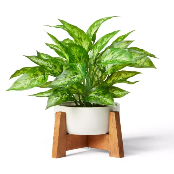 14" x 10" Faux Philodendron Birkin Plant with Wood Stand Planter White - Hilton Carter for Target