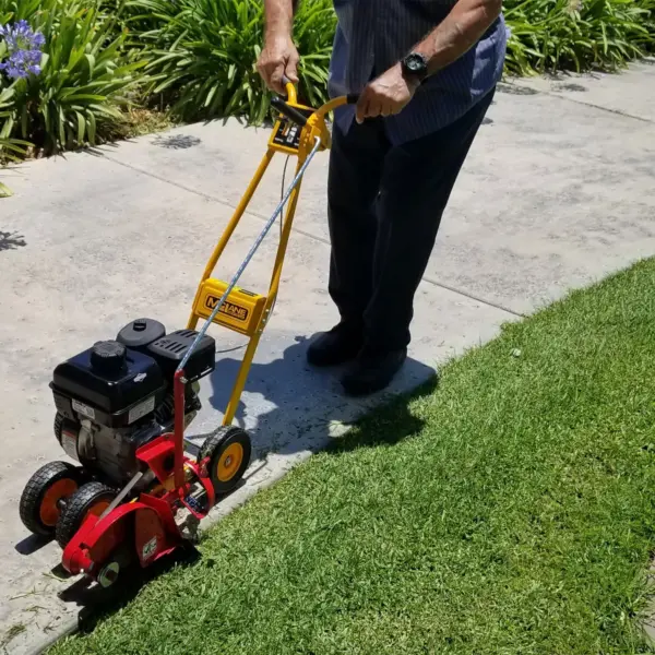 McLane 101-4.75GT-7 9 Inch Gas Walk Behind Lawn Edger, 5.50 Gross Torque Engine