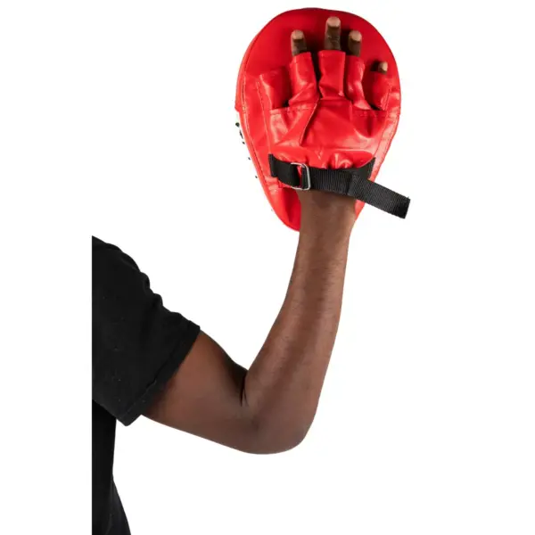 Mind Reader Boxing Mitt, Set of 2 Mitts, Red/Black