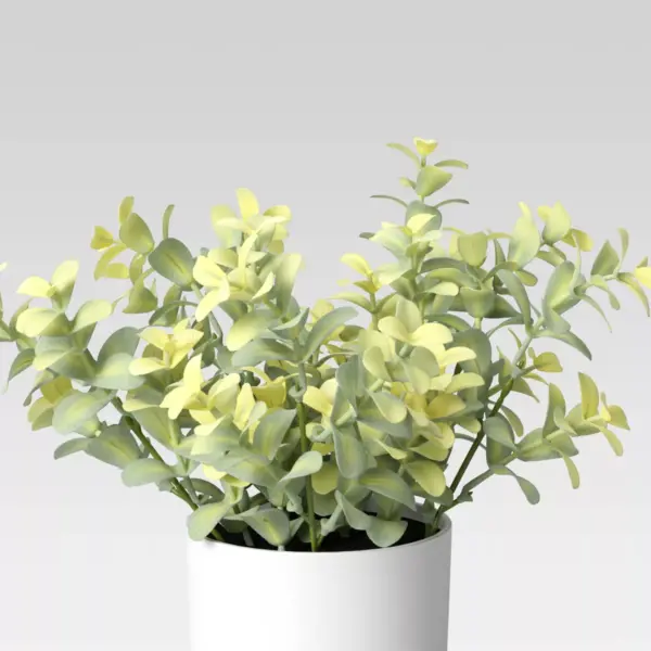 9" x 6" Artificial Boxwood Arrangement - Threshold™