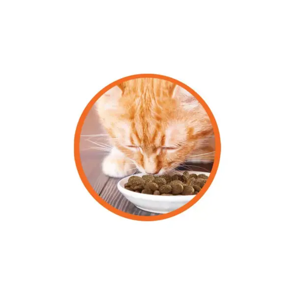 Iams Sensitive Digestion & Skin Dry Cat Food - 6lb