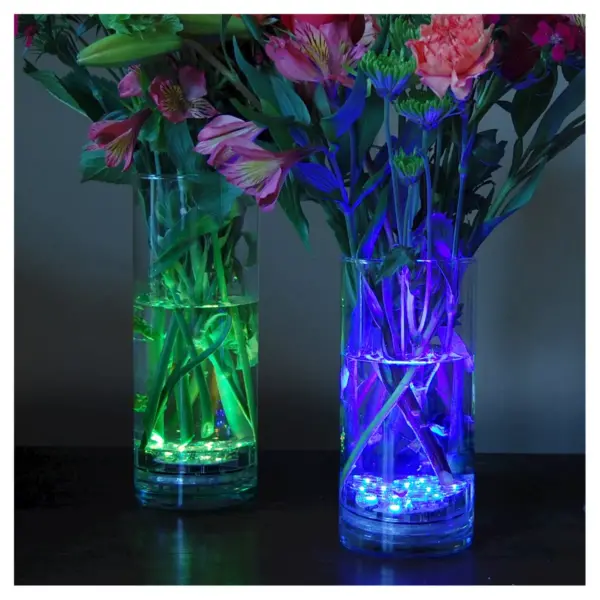 2ct Multi Color LED Battery Control Lights