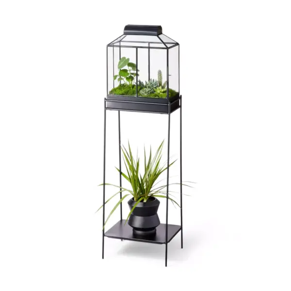 54" x 15" Iron/Glass House Terrarium Planter Black - Hilton Carter for Target