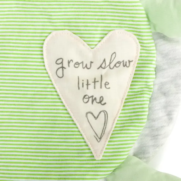 DEMDACO Grow Slow Turtle Blankie