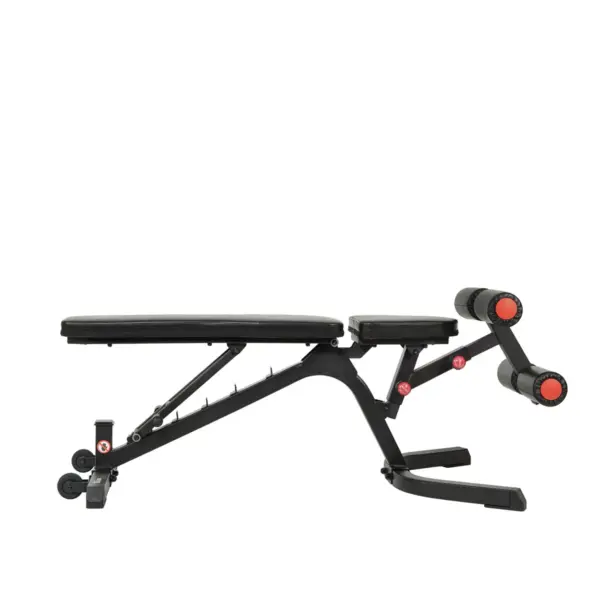 Sunny Health & Fitness Fully Adjustable Utility Weight Bench