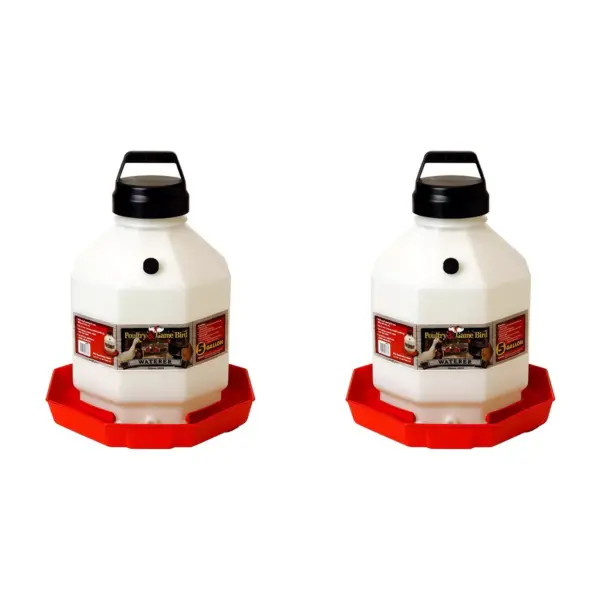 Little Giant PPF5 5 Gallon Automatic Poultry Waterer for Chickens, Red (2 Pack)