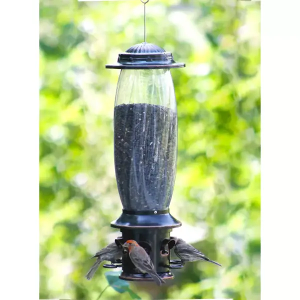 Droll Yankees Oil Rubbed Squirrel X6 Proof Bird Feeder - Bronze