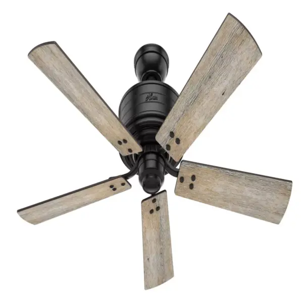 52" Cedar Key Damp Rated Ceiling Fan with Remote Black (Includes LED Light Bulb) - Hunter Fan