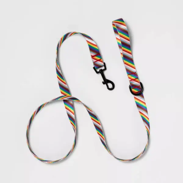 Pride Fashion Dog Leash - 5ft - Boots & Barkley™