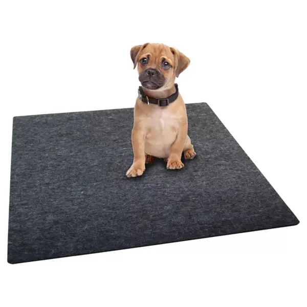 Drymate Washable Dog Training Pad - L