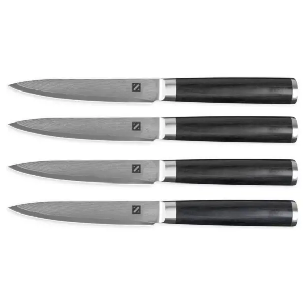 Zelancio Premium 4 Piece Japanese Steel Professional Chef Knife Set with High Carbon VG-10 Core and 67 Layer Damascus Steel, Wooden Handle