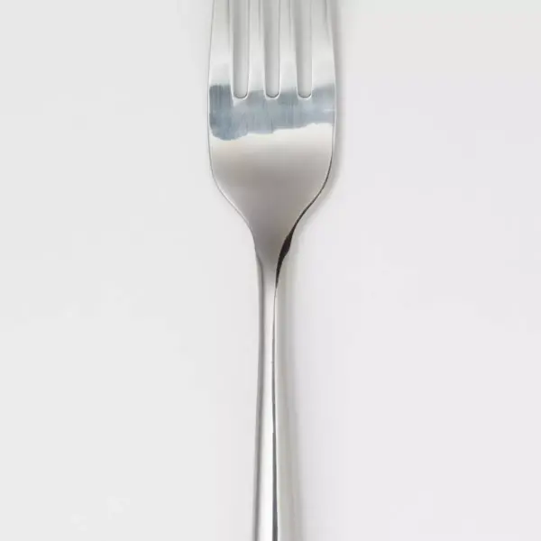 Kayden Dinner Fork Stainless Steel - Threshold™