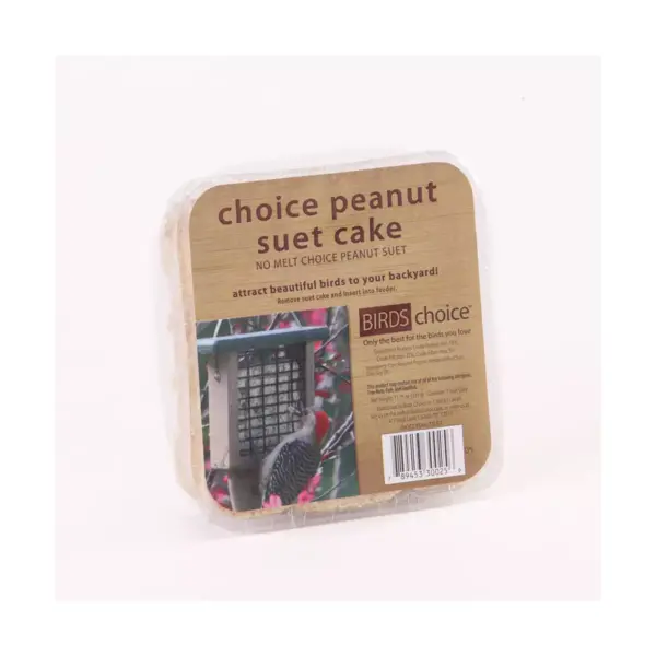 Bird's Choice Peanut Suet Cake 11.75oz, Case of 12