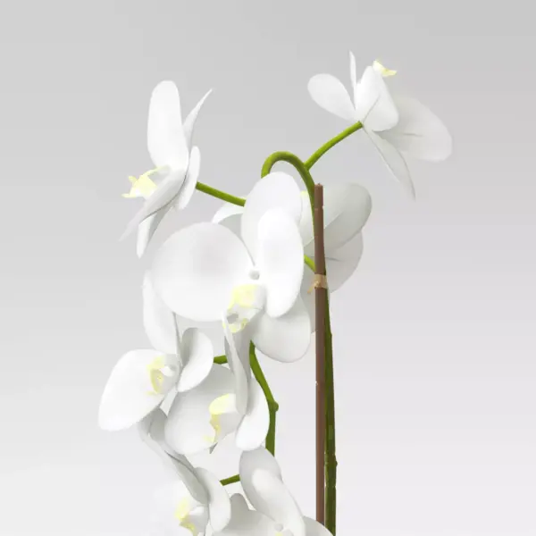 21" x 9" Artificial Orchid Arrangement in Pot White - Threshold™